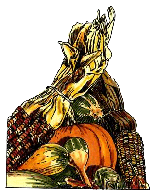 Corn and squash